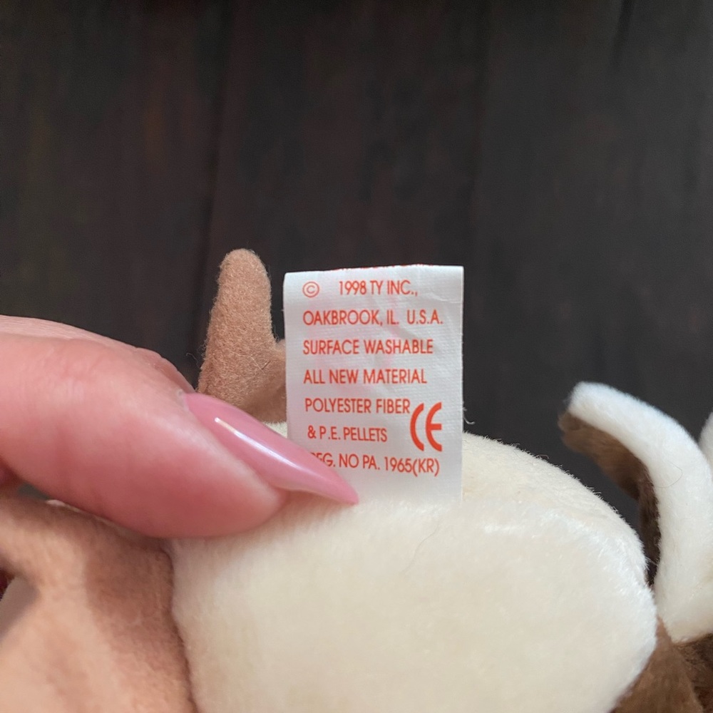 Wise - Picture 3 of 3